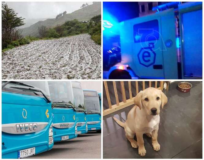 Imágenes de las noticias más leídas/TA.